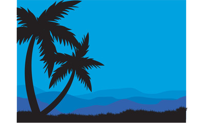 Silhouettes of two palm