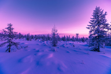 Paysage d& 39 hiver avec forêt, ciel nuageux et soleil et ombres. Ton.