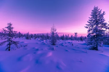 Fotobehang Donkerblauw Winterlandschap met bos, bewolkte lucht en zon en schaduwen. Toon.