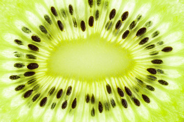 Macro shot of kiwi slice lighted from behind