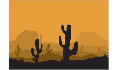 Silhouettes of cactus in the desert