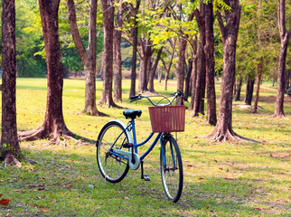 Fototapeta premium Vintage bicycle waiting near tree, in vintage retro tone