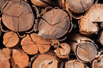 Pile of wood logs storage