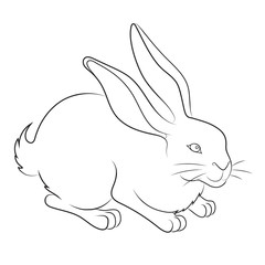 Fototapeta na wymiar illustration of an Easter bunny
