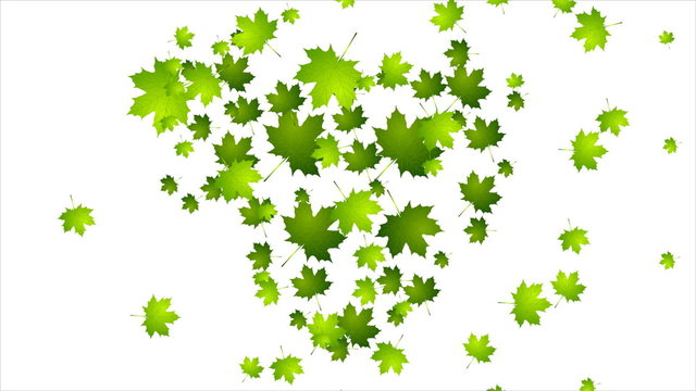 Earth Day Ecology Green Motion Design. Heart From Leaves. Video Animation HD 1920x1080