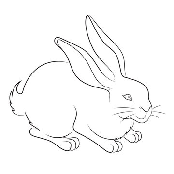illustration of an Easter bunny