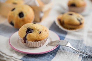 Heidelbeer Muffins