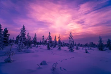 Fotobehang Pruim Winteravondlandschap met bos, bewolkte lucht en zon