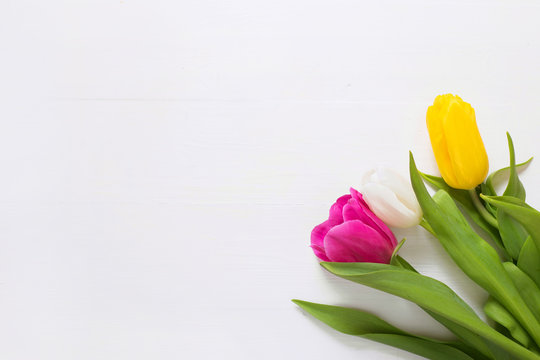 tulips on a white wooden background, view from above