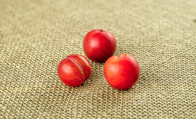 Edible miniature cherry plum fruits