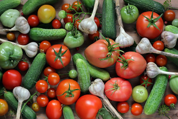 Fresh cucumbers, tomatoes and garlic, top view. Dark and Moody.