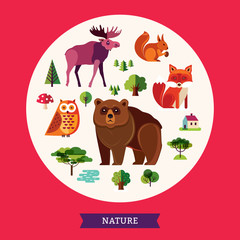Forest animals collection