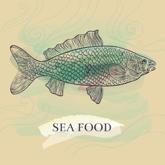 Hand drawn vector illustration with fish