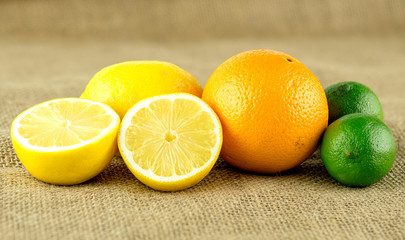 Fototapeta na wymiar Farm fresh lemons and sweet orange