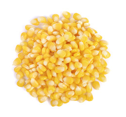 corn on white background