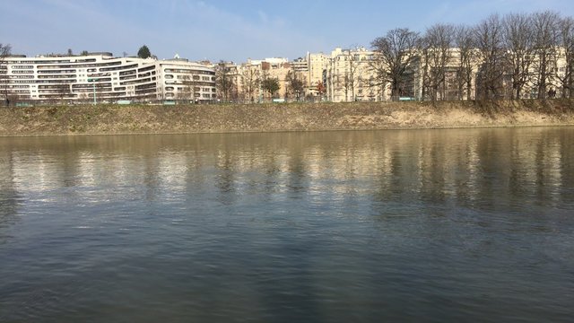 Paris, un canard vol
