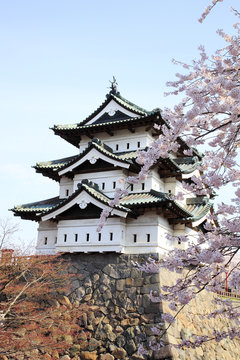 弘前城の桜
日本さくら名所100選、日本の風景百選に選ばれている
