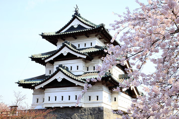 弘前公園の桜
日本さくら名所100選、日本の風景百選に選ばれている