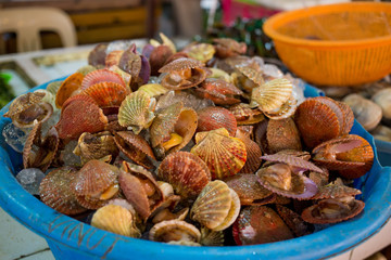 Fresh seafood photographed in fish market