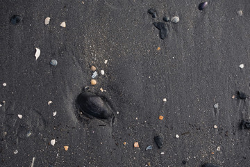 Ölverschmutzter Strand