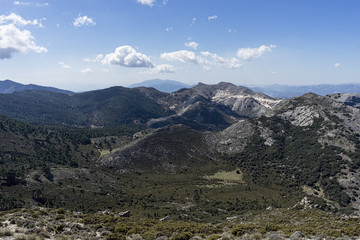 hermoso parque natural de la sierra de las Nieves en la provincia de Málaga, Andalucía
