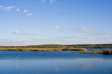 forest lake under blue cloudy sky