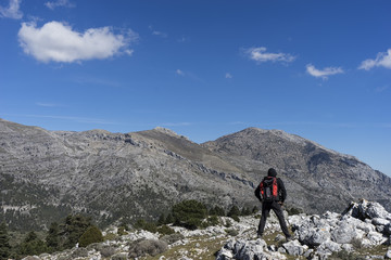 Fototapeta na wymiar parques naturales de España, Sierra de las Nieves en la provincia de Málaga, Andalucía