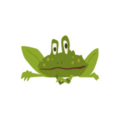 Sitting Toad Flat Cartoon Stylized