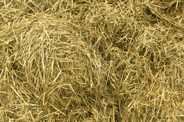 Yellow straw pile.