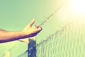 Male hands on barbed wire