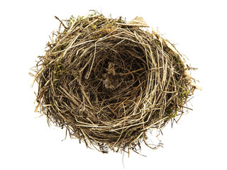 Obraz premium Bird nest isolated on white background