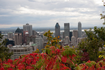 Montreal skyline in the fall