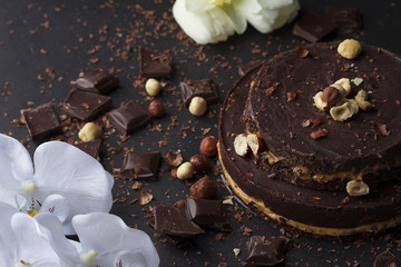 Obraz na płótnie Canvas Little tasty chocolate cake with nuts