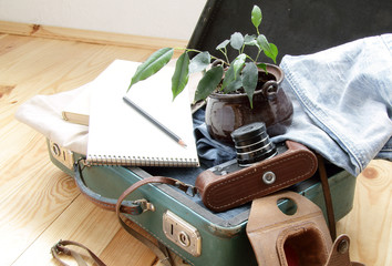 Retro ecology tourism/retro suitcase and old camera and ficus prepared for the journey