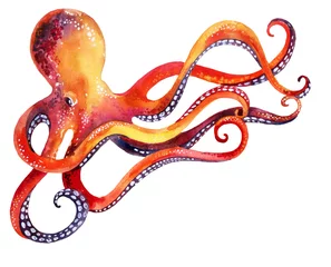 Fotobehang octopus © Tanya Syrytsyna