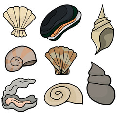 vector set of shell