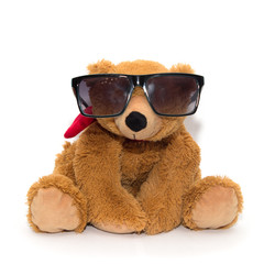 Cool teddy bear in sunglasses isolated