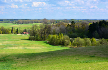 Green spring landscape with meadows and trees