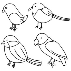 vector set of birds