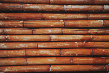 Bamboo background