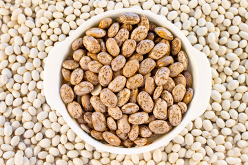 Haricot beans brown color spotted in a white mini pot