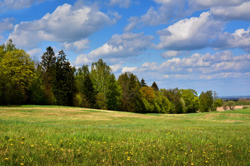 Green spring landscape with meadows and trees