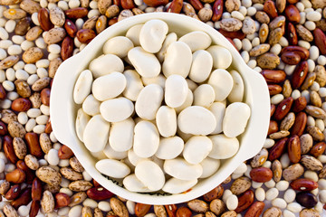 Beans white color in a white mini pot