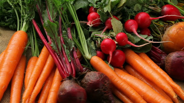 Fresh organic root vegetables