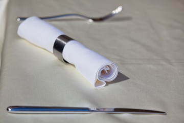 Tableware: Steel Utensil and Napkin Ring