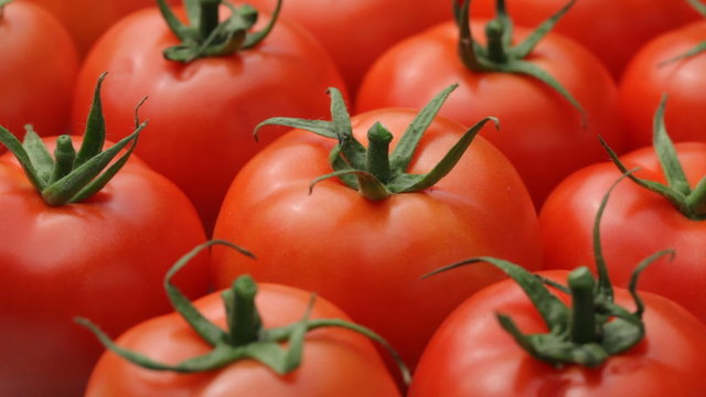 Fresh background of tomatoes