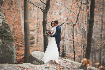Gorgeous wedding couple kissing and hugging in forest with big rocks
