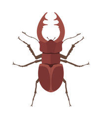 Close up brown horned beetle cartoon vector illustration. Rhino bug insect.