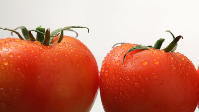 Fresh wet tomatoes on white background