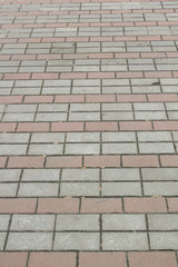 Pavement path of bricks